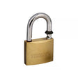 Trimax Locks 3/4″ x 3/16″ Diameter Shackle Lock Hitcholder