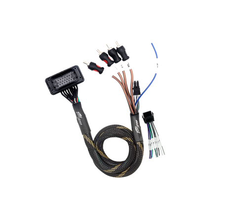 '20-'26 RZR® Pro Series Ride Command Front & Rear RCA Output + Speaker Wire & Remote | UTVS-PRO-RC-RCA-OUT UTV Stereo