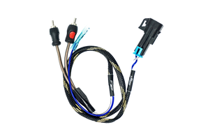 '20-'26 RZR® Pro Series Ride Command Subwoofer RCA Output Harness + Remote | UTVS-PRO-RC-SUB-OUT UTV Stereo