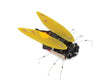 Whadda Electronic Cicada Solder Kit WSAK204 TekShack