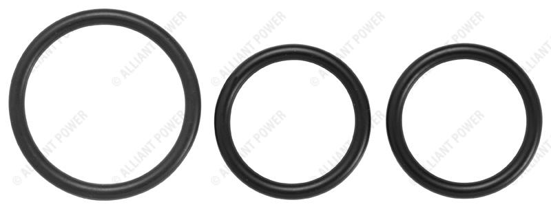 AP0057 Exhaust Gas Recirculation (EGR) Valve Seal Kit