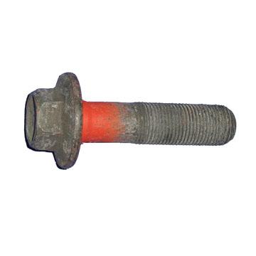 Crankshaft Bolt