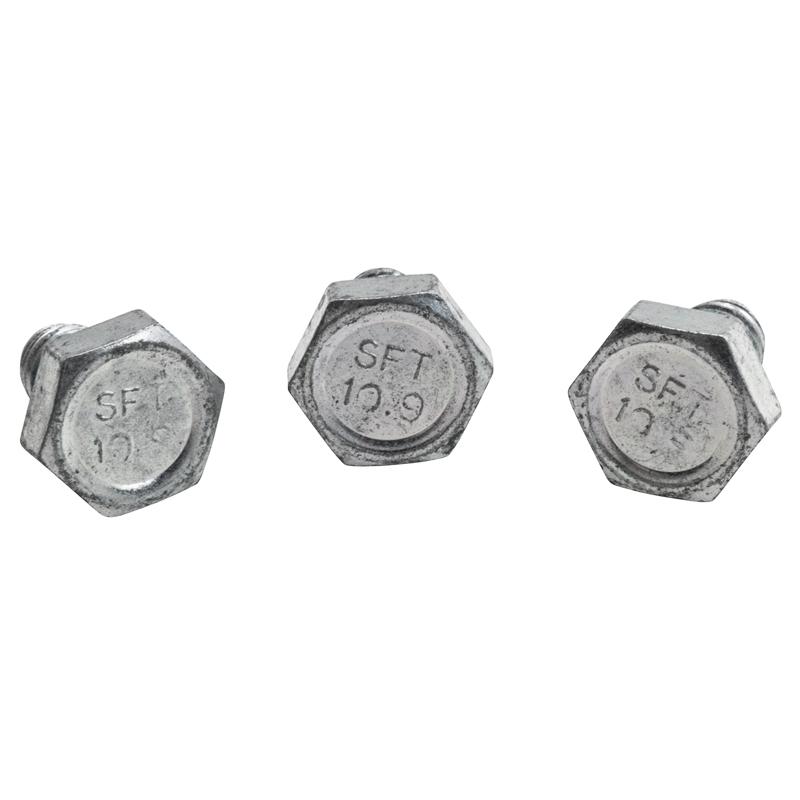 Torque Converter Bolts