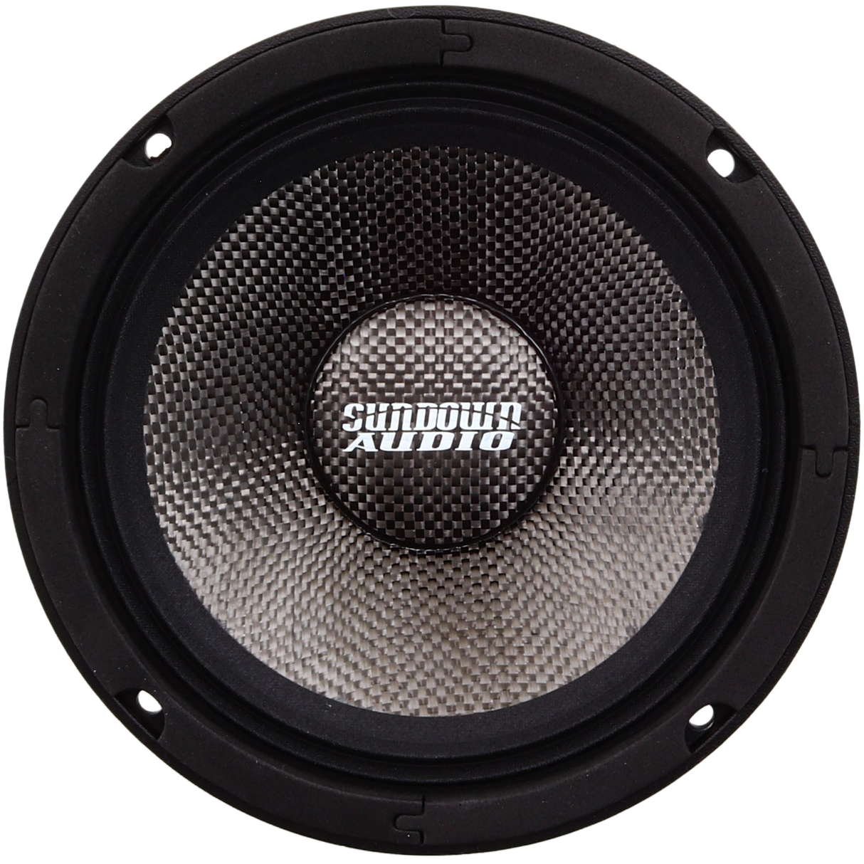 NeoPro-10 v.4 10" Pro Audio Midrange Speaker