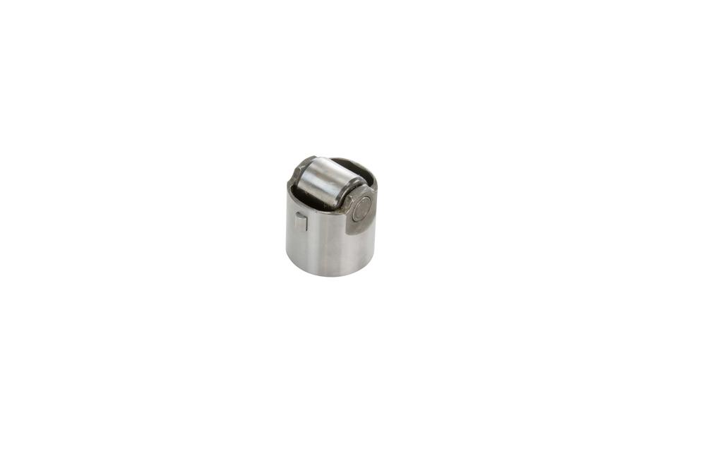 Fuel Pump Roller
