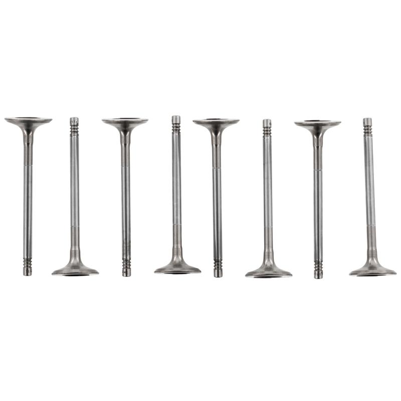 Individual Ecotec Valves