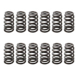 PAC Valve Springs