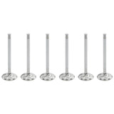 ZZP Stainless Valves