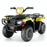Electric 4-Wheeler Quad for Kids - 12V Battery Powered Ride-On Car in 6 Color Options