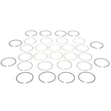 3800 Piston Rings