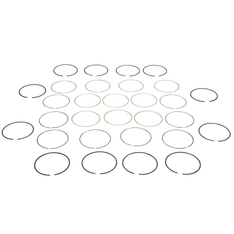 3800 Piston Rings