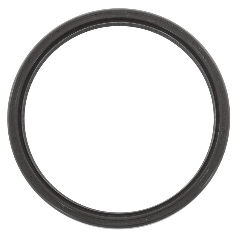 Rear Main Seal - Ecotec