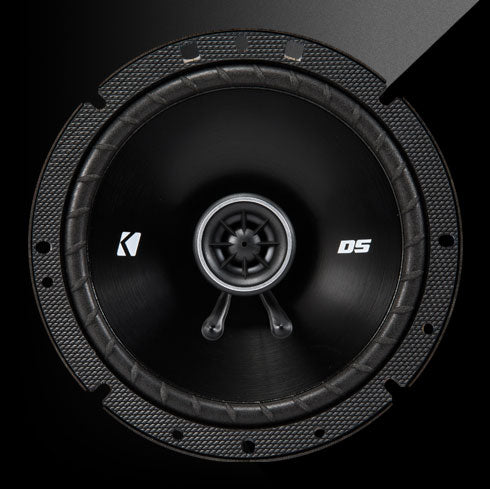 DS