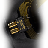 KICKER Competition Gold Subwoofer