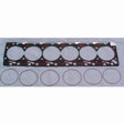 Fire Ring Head Gasket (89-98) .105 x 4.550 Far From Stock Power Driven Diesel