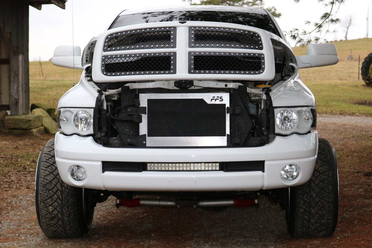 3rd Gen Early Ram FFS Grille Inserts 03-05 Far From Stock