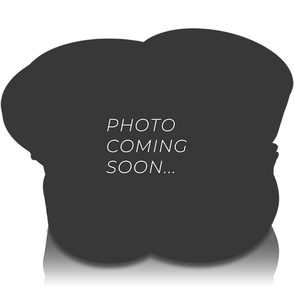 Nightshade NS-Series NS5 12" 3000W Subwoofer NS v.5 *USED*