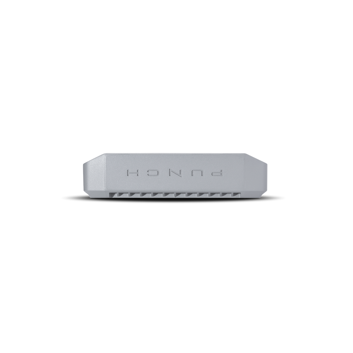 Punch Marine 300 Watt 2-Channel Amplifier