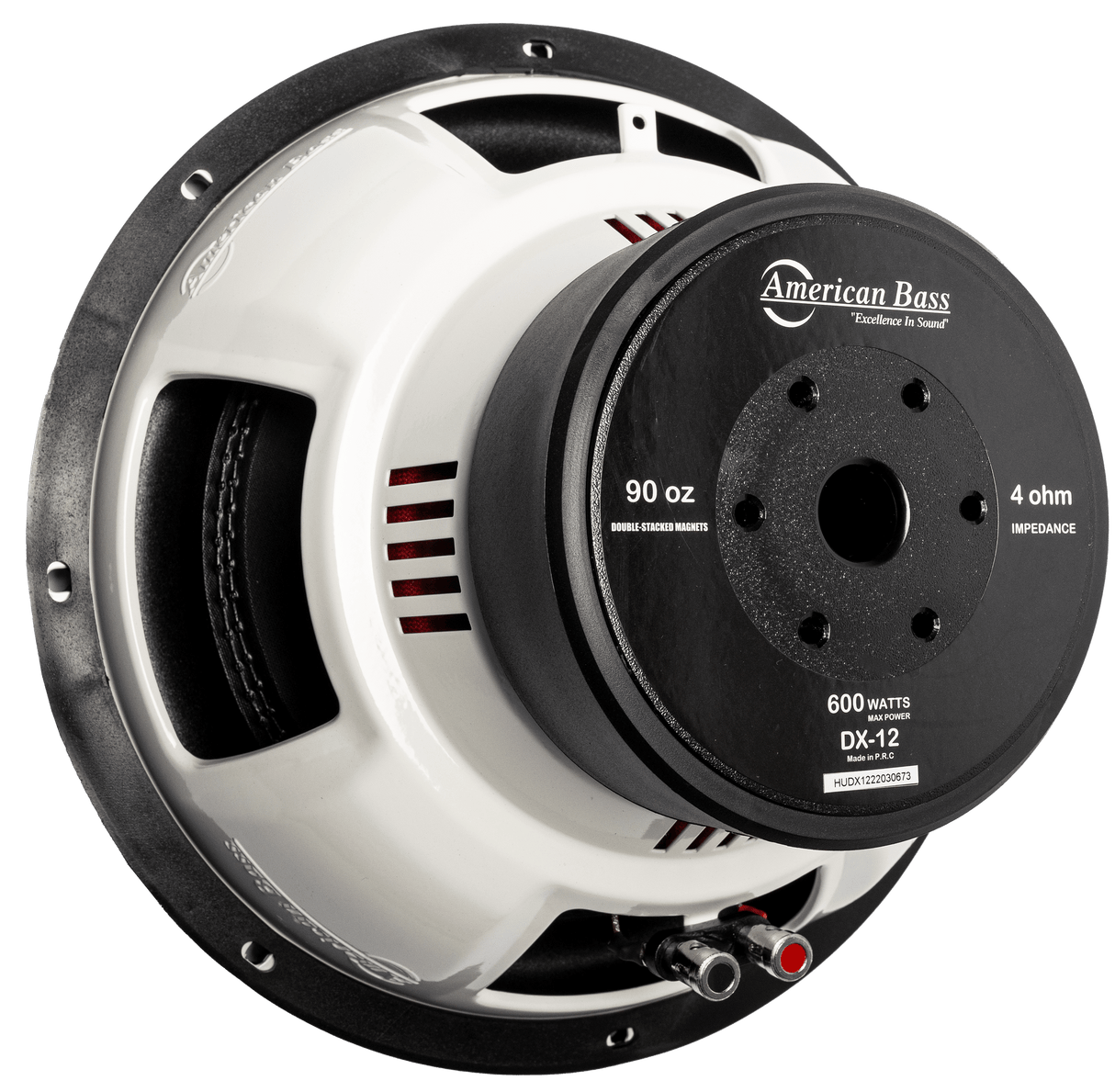 Power Pack: 2 DX 12 Subwoofers + VFL Hybrid 2800.1 Amplifier