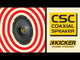 CS