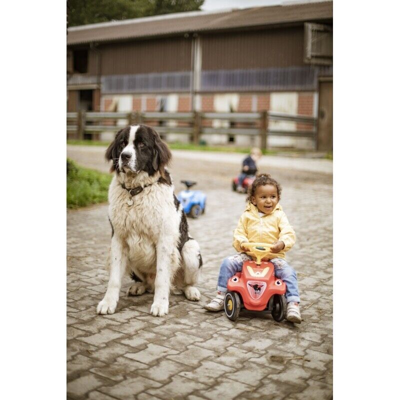 Rev Up the Fun with the BIG Rider Pusher Bobby Car Guard Sound!