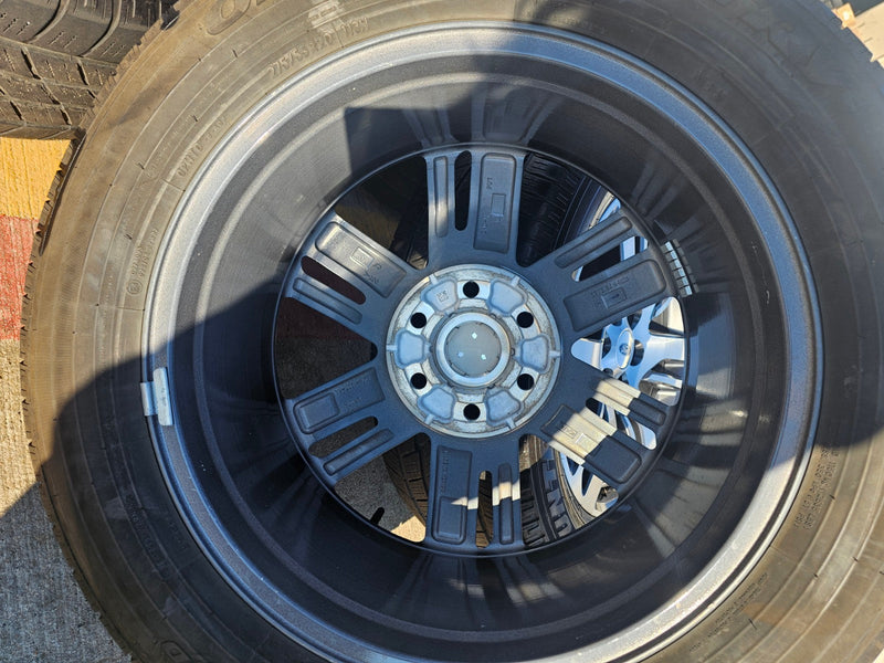 20" Ford Expedition F-150 OEM rims wheels 10441 95362 Limited 2023 2024 2025 Texas Truck Tire