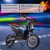 Electric Dirt Bike for Kids with 36V Brushed/Brushless Motor