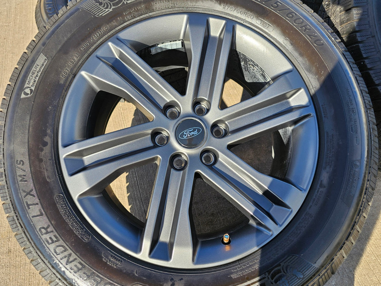 20" Ford F-150 FX-4 PLATINUM OEM rims wheels 10344 Expedition MICHELIN Texas Truck Tire