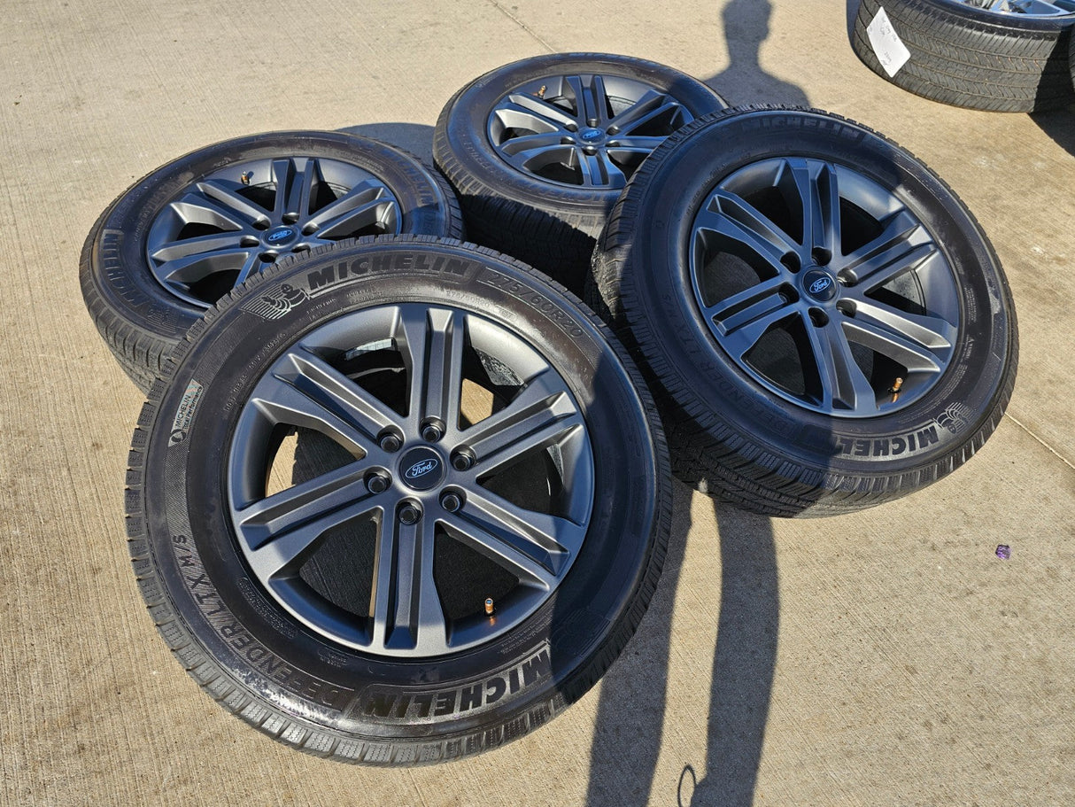 20" Ford F-150 FX-4 PLATINUM OEM rims wheels 10344 Expedition MICHELIN Texas Truck Tire
