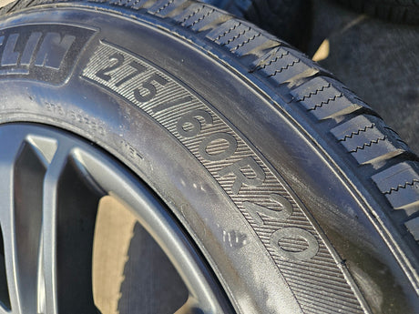20" Ford F-150 FX-4 PLATINUM OEM rims wheels 10344 Expedition MICHELIN Texas Truck Tire