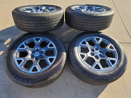 20" Ford F-150 LARIAT Limited OEM 95864 rims wheels Expedition 2025 2026 NEW Texas Truck Tire