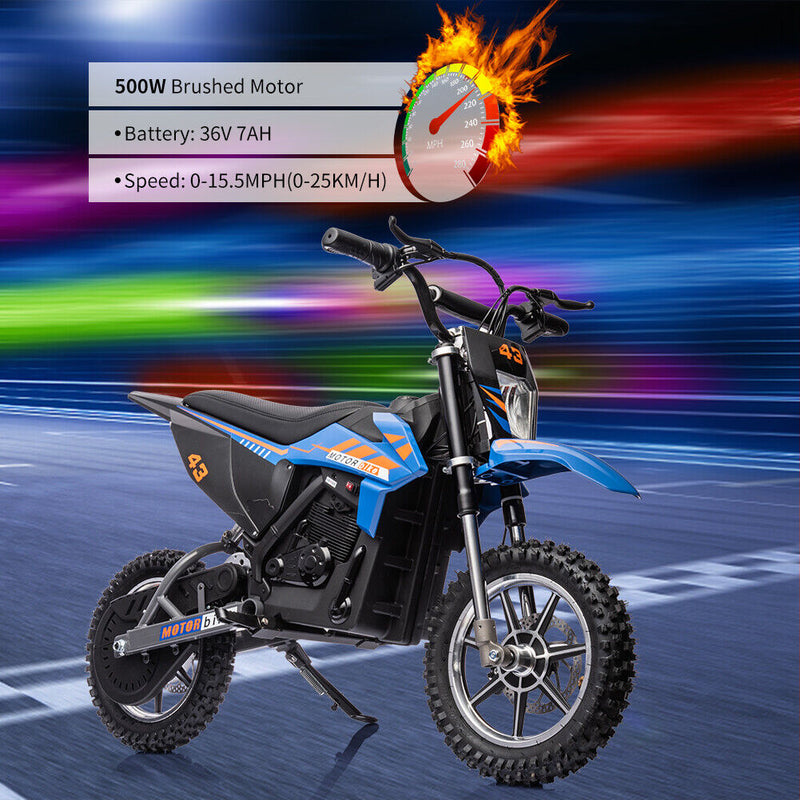 Electric Dirt Bike for Kids with 36V Brushed/Brushless Motor