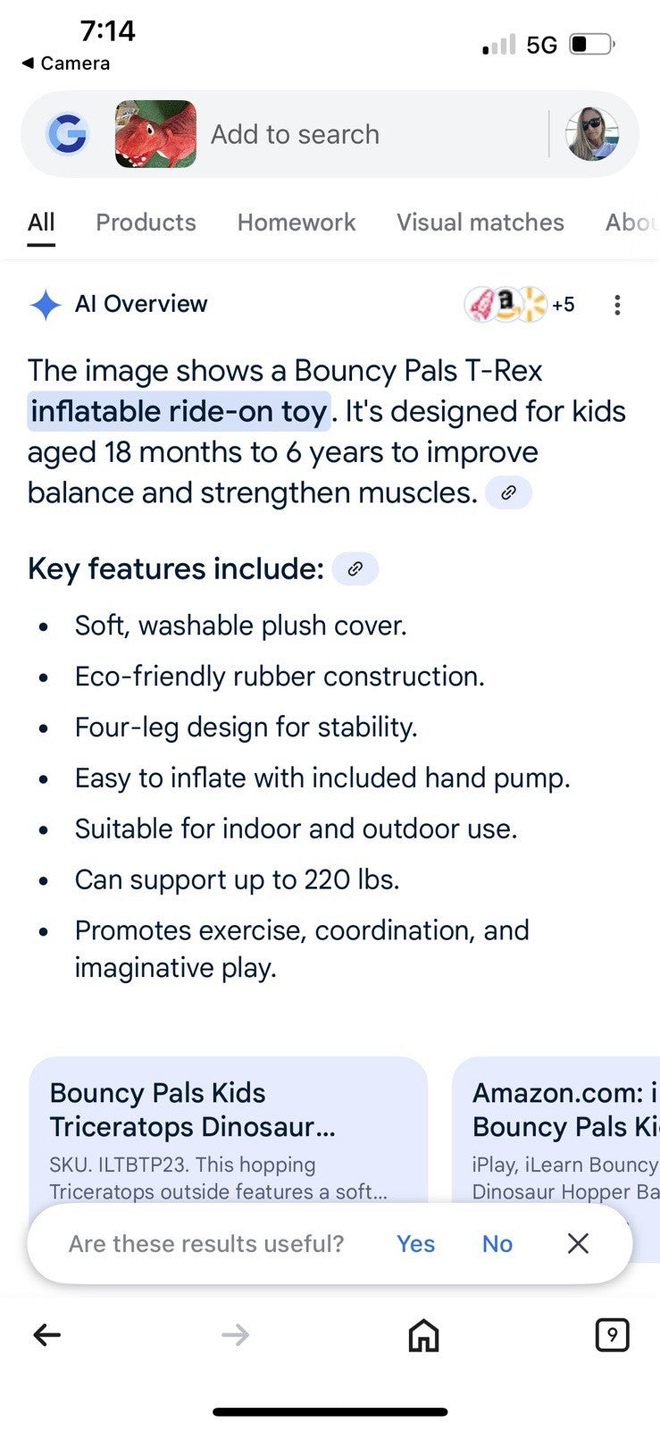 Toddler Ride-On T-Rex Toy with Removable Washable Cover