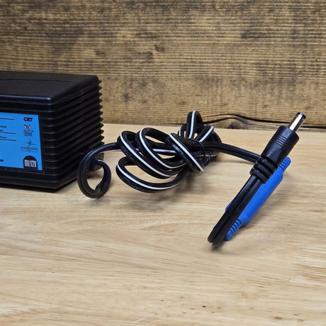 Universal 6/12V Battery Charger for Ride-On Vehicles and Toys