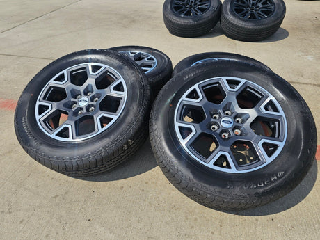 20" Ford F-150 LARIAT Limited OEM 95864 rims wheels Expedition 2025 2026 NEW Texas Truck Tire
