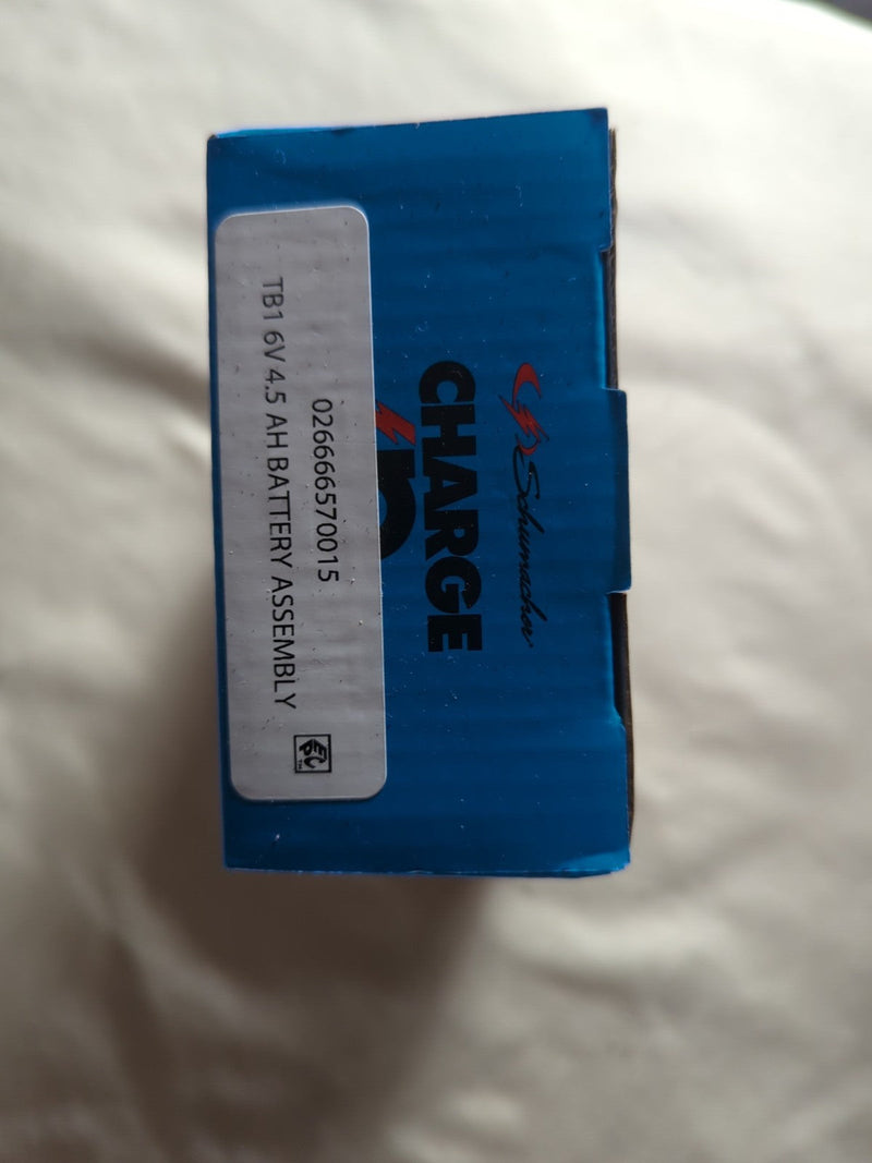 Rechargeable 6V 4.5Ah Replacement Battery for Ride-On Toys TB1 Model