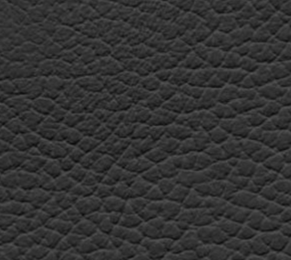 Ebony (Black)