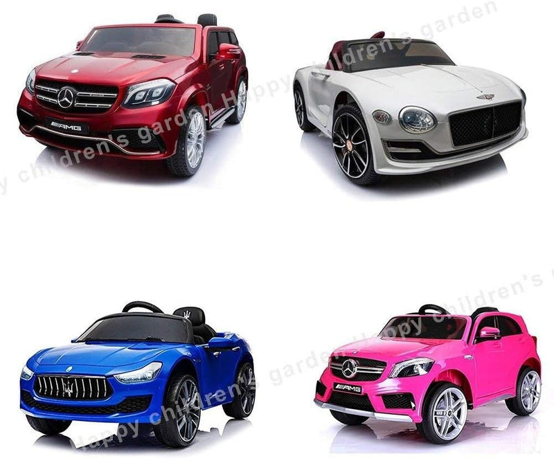 12V Universal Battery Charger for Kids' Ride-On Toys with Safety Certification