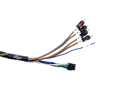 '20-'26 RZR® Pro Series Ride Command Front & Rear RCA Output + Speaker Wire & Remote | UTVS-PRO-RC-RCA-OUT UTV Stereo