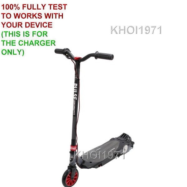 12V 80W AC Wall Charger Adapter for Pulse Performance Revster Scooter, Black