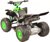 12 Volt Battery-Powered Raptor Ride-On with Custom Graphic Design