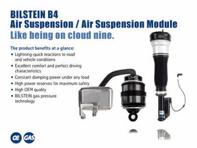 Bilstein B4 04-06 Mercedes-Benz E500 4Matic Right Rear Twintube Strut Assembly Bilstein