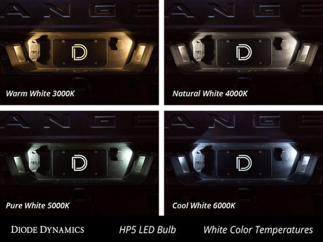 Diode Dynamics 194 LED Bulb HP5 LED - Amber Set of 12