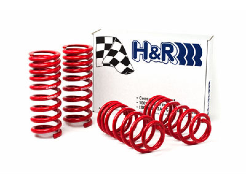 H&R 94-95 Ford Mustang/Mustang Cobra V8 Race Spring