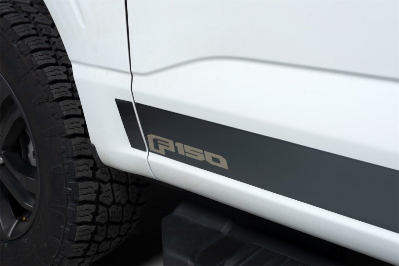 Putco 2021 Ford F-150 Reg Cab 8ft Long Box Ford Licensed Blk Platinum Rocker Panels (4.25in 10pc)