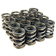 BLOX Racing Valve Springs for B18A-B / B20 (1.8L-2.0L DOHC) BLOX Racing