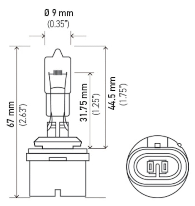 Hella Bulb 892 12V 16W Pg13 T325