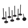 BLOX Racing High Compression Intake Valve Set For B-series DOHC VTEC BLOX Racing