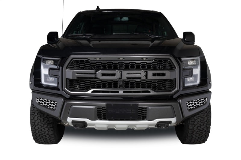 Putco 18-20 Ford F-150 Raptor - Hex Shield - Polished SS Bumper Grille Inserts