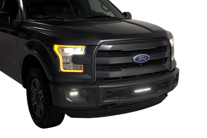 Putco 15-17 Ford F-150 - SS Black Punch Design w/ 10in Luminix Light bar Bumper Grille Inserts